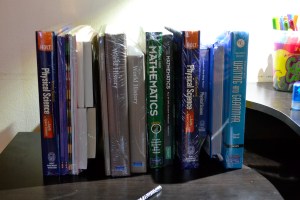 A whole bunch of school books. Makes the school year look longer than I'm used to!