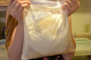 Bob the Chicken and Pineapple dessert 005