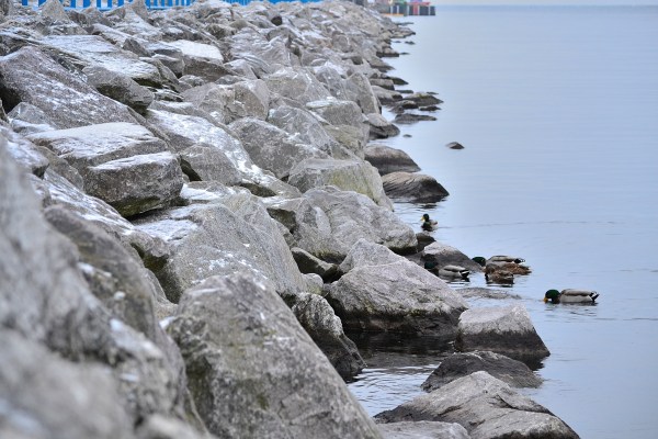 First Day Of Winter 12-21-2014 019