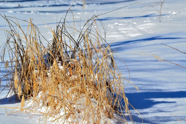 Christmas 2014 and Dads 1-2-2015 009