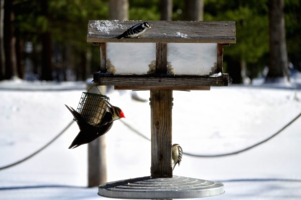 Christmas 2014 and Dads 1-2-2015 041