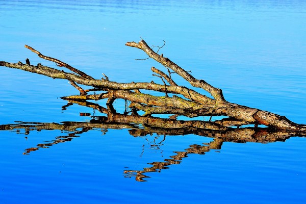 Whitehall - Montague 4-14-2015 018