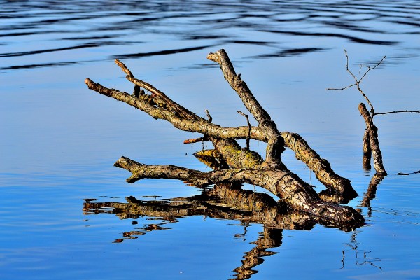 Whitehall - Montague 4-14-2015 021