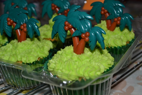 Cupcakes 1 6-6-2015 012