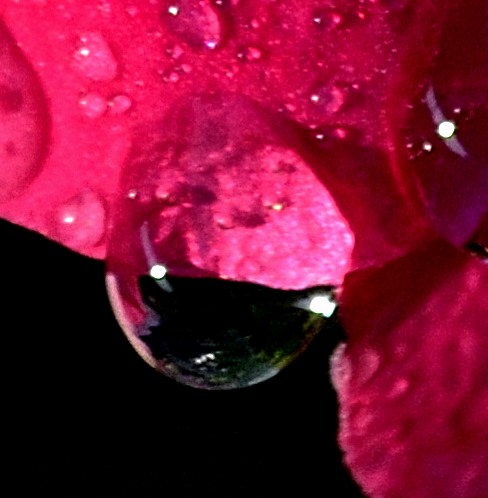 Sunrise 7-3-2015 037