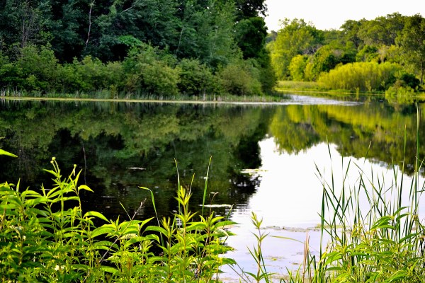 Sunrise 7-3-2015 063