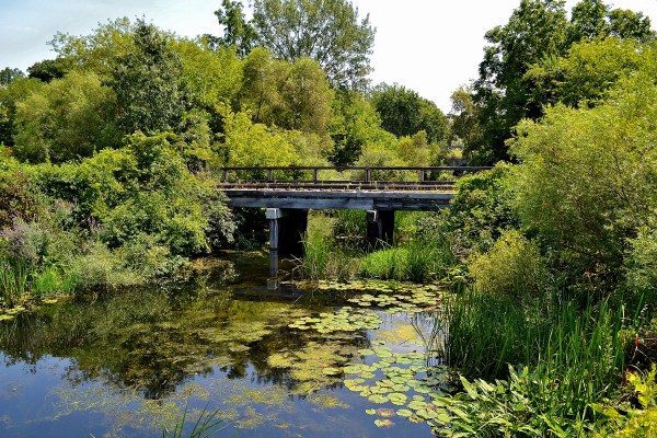 Bike Path 8-22-2015 003