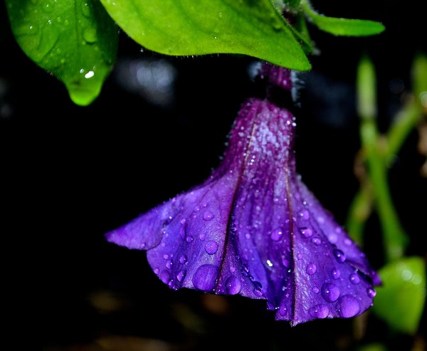 BRMB and Pier Marquette 8-29-2015 084