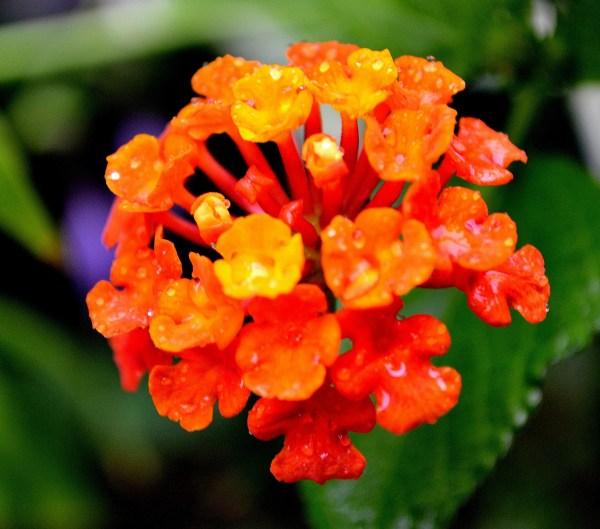 BRMB and Pier Marquette 8-29-2015 085