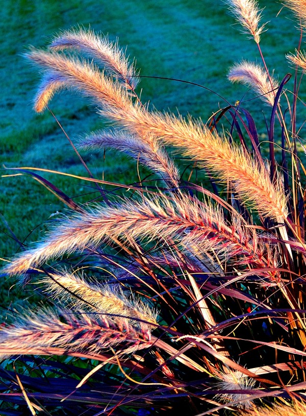 Kendall 8-11-2015 061