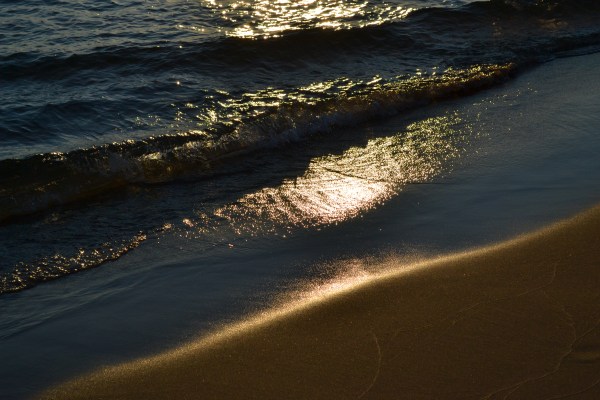 Kendall 8-11-2015 092