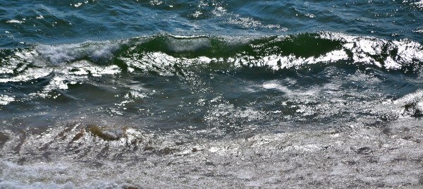 Sunrise and Kruse park 8-17-16 023