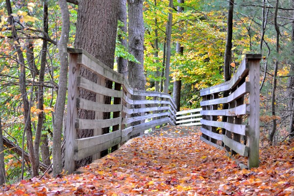 hart-mi-10-21-16-001