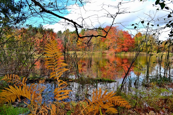 hart-mi-10-21-16-053