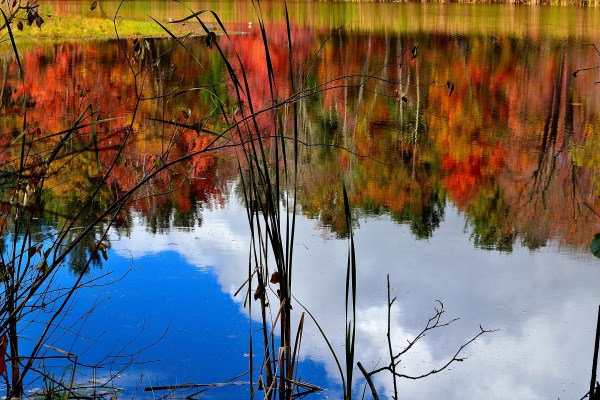 hart-mi-10-21-16-061