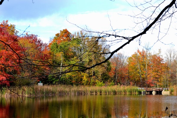 hart-mi-10-21-16-070